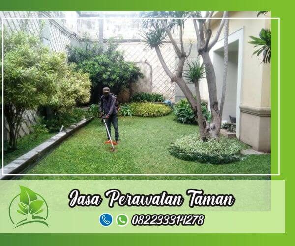 lestari alam - jasa perawatan taman